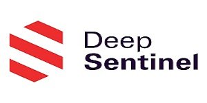 Deep-Sentinel-logo