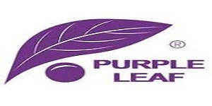 Purple-Leaf-logo