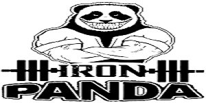 iron-panda-logo